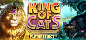 Read more about the article King of Cats Megaways Review (High Volatile RTP 96.72%)